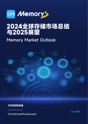 2024 Global Memory Market Review and 2025 Outlook
